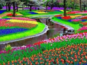 Pays-Bas 9 – 16 avril 2026
