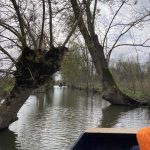 Marais Poitevin Balade en Ancienne