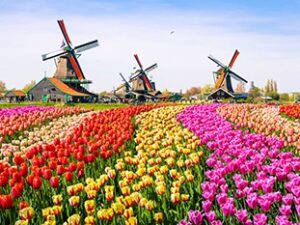 Pays-Bas 9 – 16 avril 2026